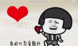 爆料表情包怎么制作视频,轻松制作爆料表情包视频教程